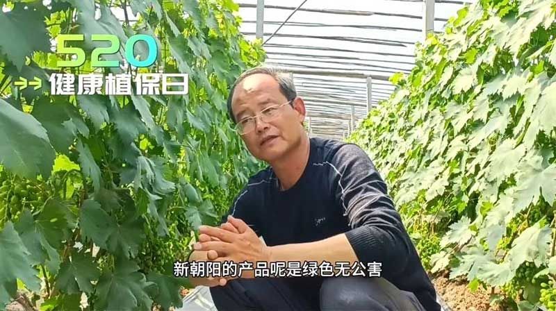 520健康植保日——擁抱綠色農業，我們在行動